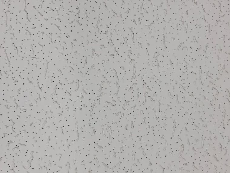 Cross Fissured Tile 2